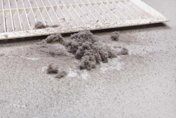 Best HVAC System Cleaning  in Williams, AZ