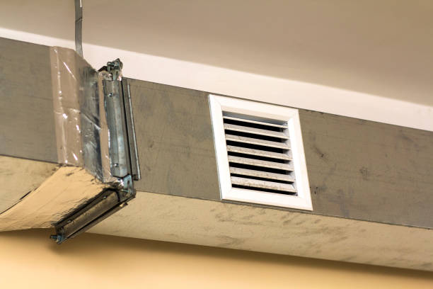 Best Local Air Duct Cleaning Services  in Williams, AZ